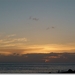 sized_P1160882