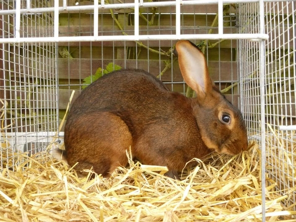 935429_380210008763469_1829748330_n