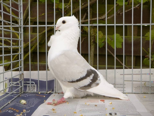 941875_380208818763588_1241777075_n