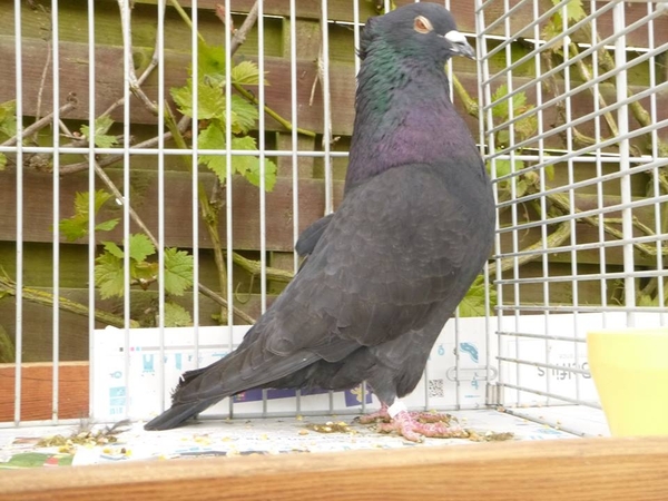 941875_380208825430254_1689383530_n