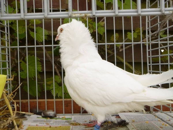 941875_380208828763587_582222158_n