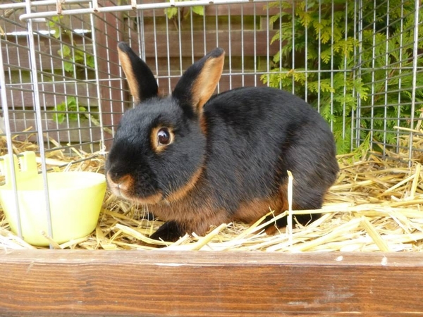 943499_380209732096830_1213016397_n