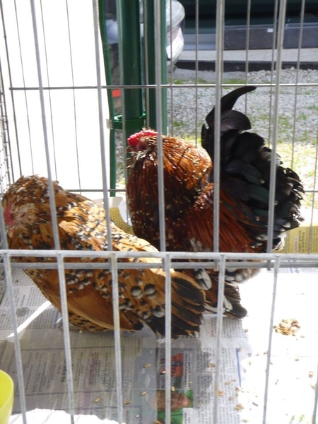 944224_380207758763694_1188832084_n