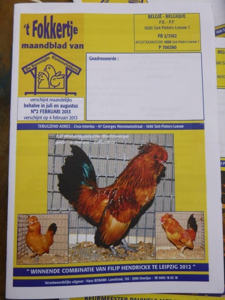 954715_380209925430144_1800785530_n