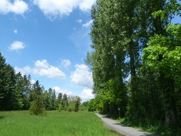 08-Denderpad in Erembodegem