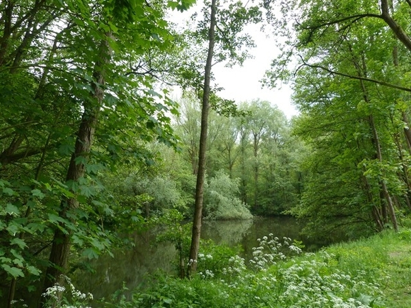 51-Natuurgebied Osbroek