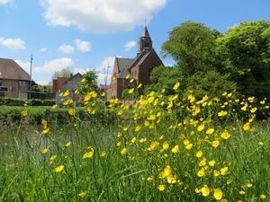 2013-05-25 Erembodegem 003