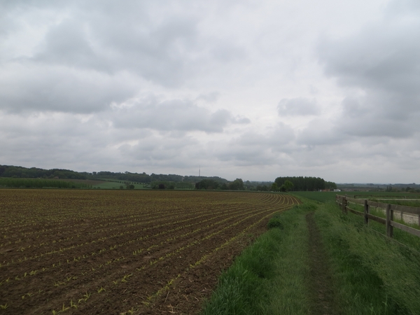 2013-05-26 Lennik 008