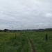 2013-05-26 Lennik 010