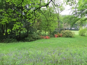 2013-05-26 Lennik 014