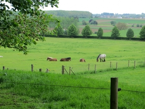 2013-05-26 Lennik 018