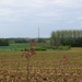 2013-05-26 Lennik 023