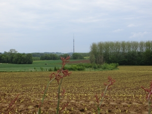 2013-05-26 Lennik 023