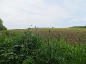 2013-05-26 Lennik 024