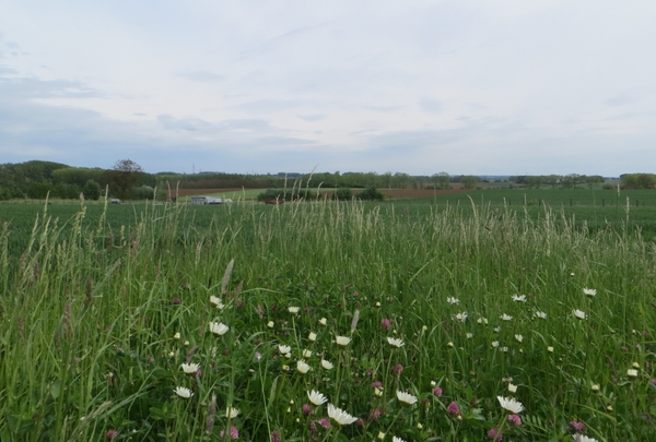 2013-05-26 Lennik 026