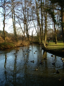 Park Genk 02