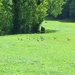 2013-05-27 Avennes 035