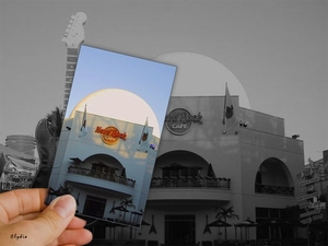 Hardrockcafe