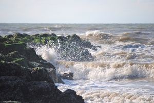 beukende zee