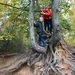 IMG-20201104-WA0007