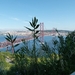 P1020747
