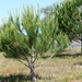 P1020751