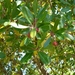 P1020754