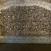 P1020765
