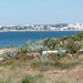 P1020778