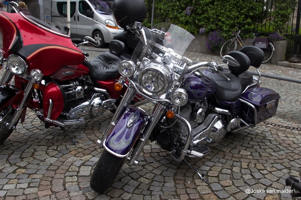 IMG_8453