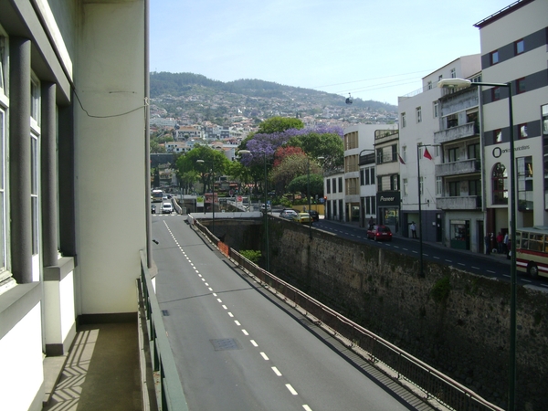 DSC02271