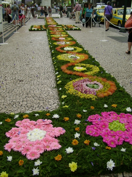 DSC02341