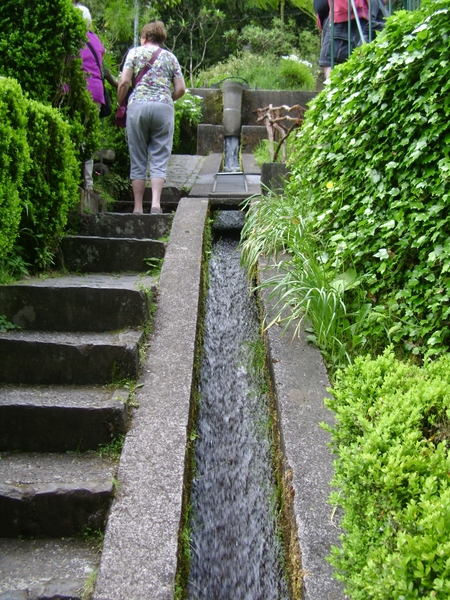 DSC02366
