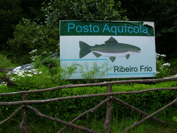 DSC02370