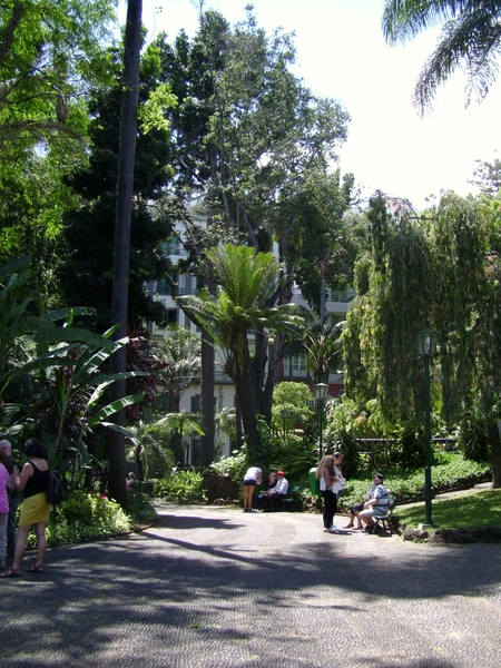 DSC02385