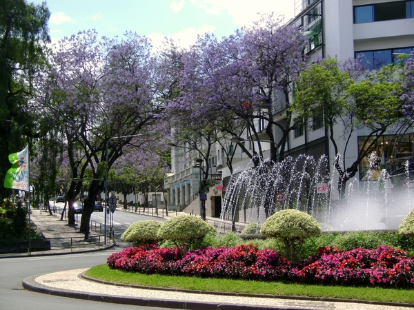 DSC02389