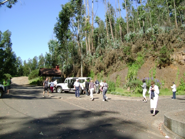 DSC02401