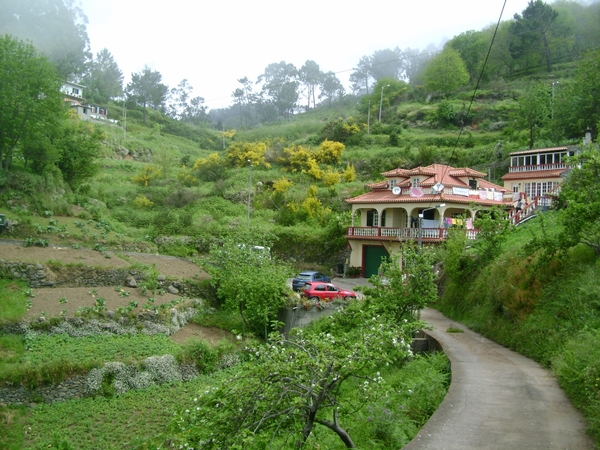 DSC02403