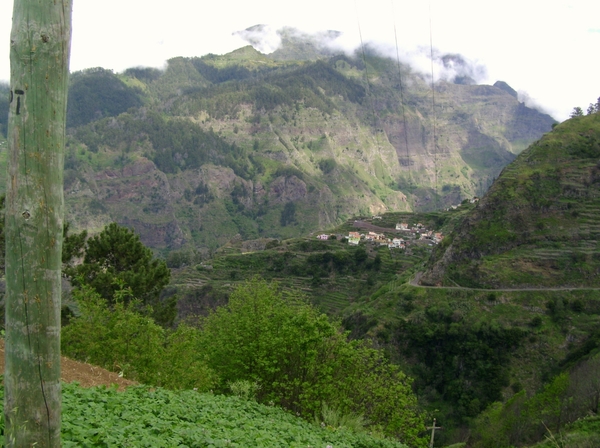 DSC02405 (2)