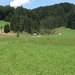 P8134709