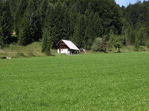 P8134710