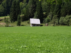 P8134713
