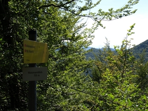 P8134718