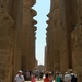 DSCN9187