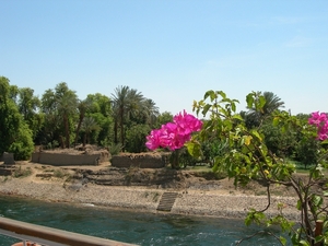 DSCN9496