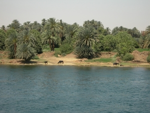DSCN9501