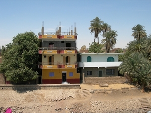DSCN9503