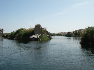 DSCN9674