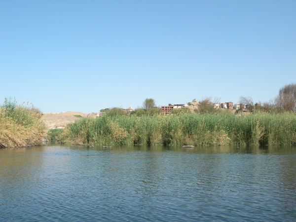 DSCN9682