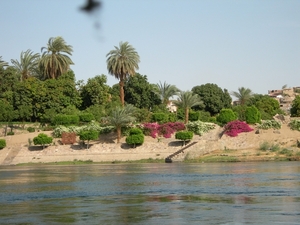 DSCN9688